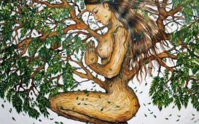 A Mulher Árvore (conto)