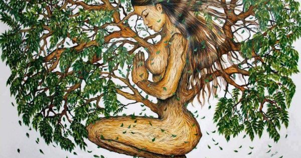 A Mulher Árvore (conto)