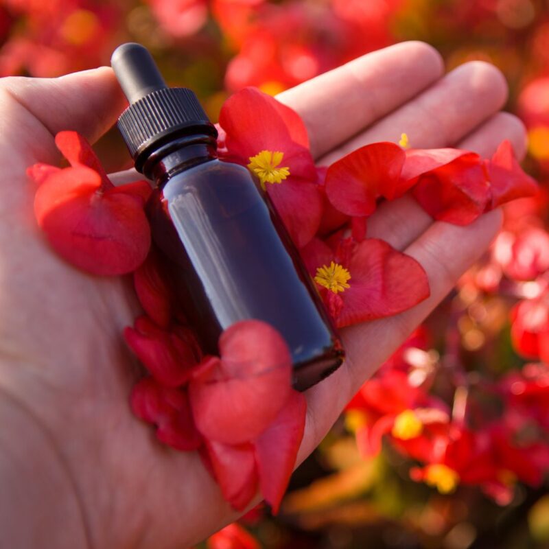 Terapia Floral